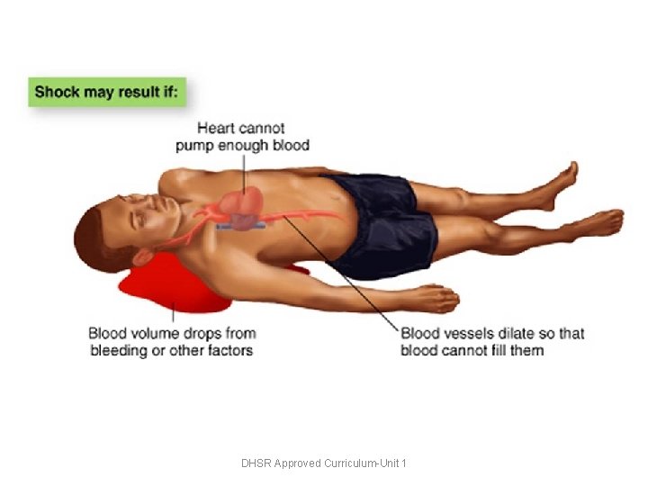 DHSR Approved Curriculum-Unit 1 