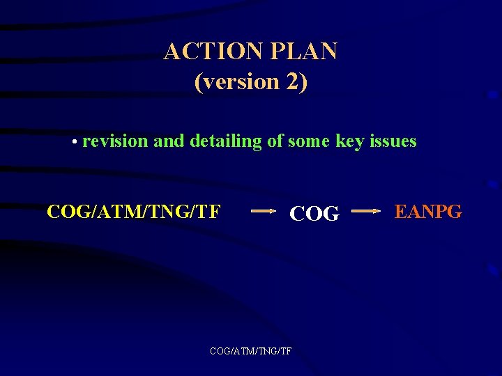 ACTION PLAN (version 2) • revision and detailing of some key issues COG/ATM/TNG/TF EANPG