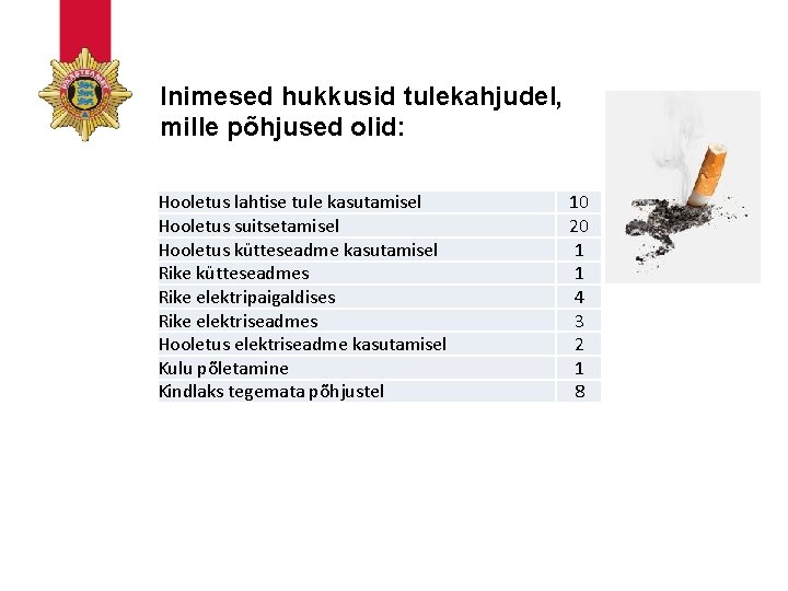 Inimesed hukkusid tulekahjudel, mille põhjused olid: Hooletus lahtise tule kasutamisel Hooletus suitsetamisel Hooletus kütteseadme