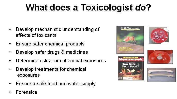 What does a Toxicologist do? • Develop mechanistic understanding of effects of toxicants •