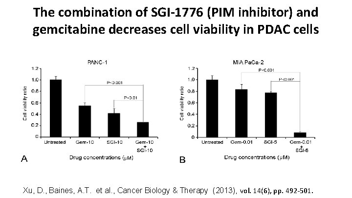 The combination of SGI-1776 (PIM inhibitor) and gemcitabine decreases cell viability in PDAC cells