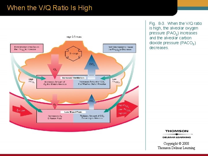 When the V/Q Ratio Is High Fig. 8 -3. When the V/Q ratio is