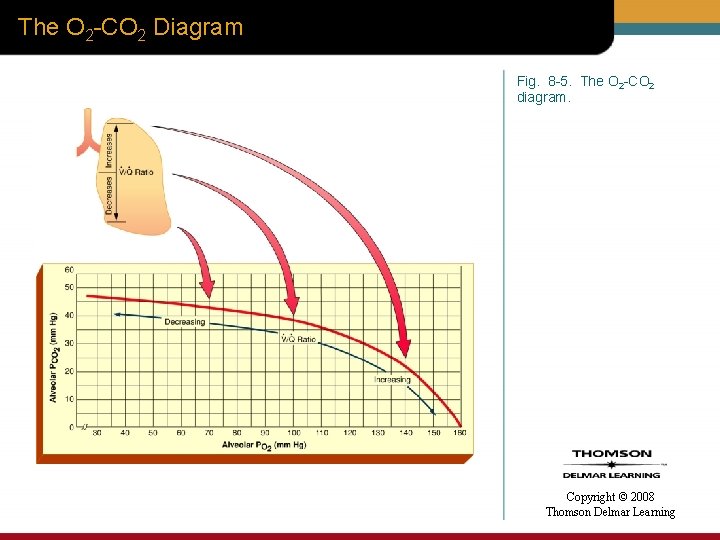 The O 2 -CO 2 Diagram Fig. 8 -5. The O 2 -CO 2