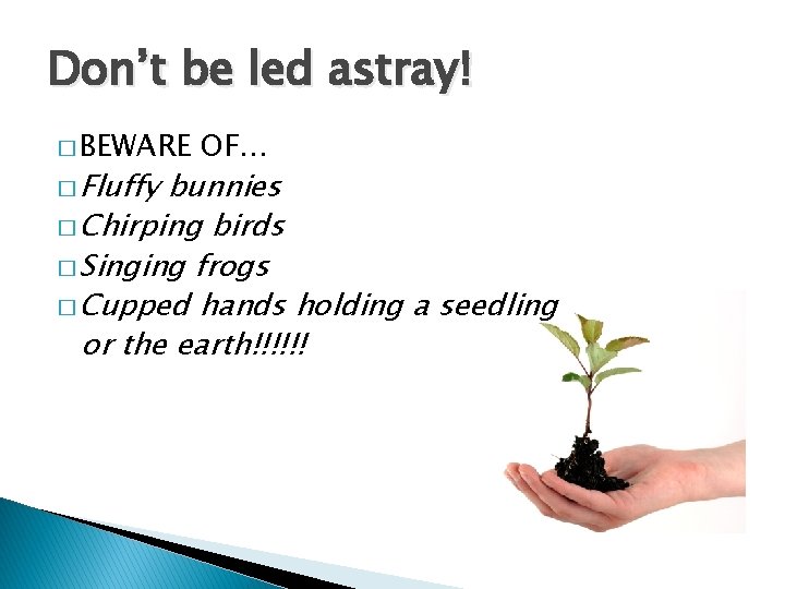 Don’t be led astray! � BEWARE � Fluffy OF… bunnies � Chirping birds �
