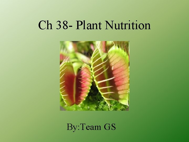 Ch 38 - Plant Nutrition By: Team GS 