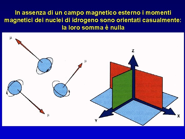 In assenza di un campo magnetico esterno i momenti magnetici dei nuclei di idrogeno