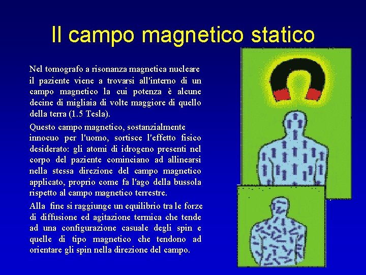 Il campo magnetico statico Nel tomografo a risonanza magnetica nucleare il paziente viene a
