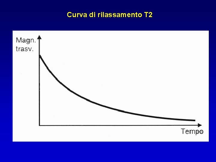 Curva di rilassamento T 2 