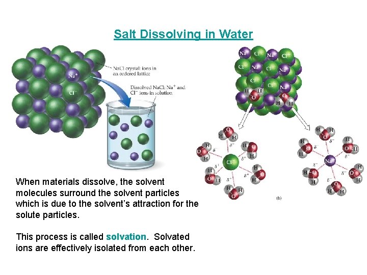 Salt Dissolving in Water When materials dissolve, the solvent molecules surround the solvent particles