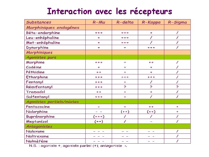 Interaction avec les récepteurs 