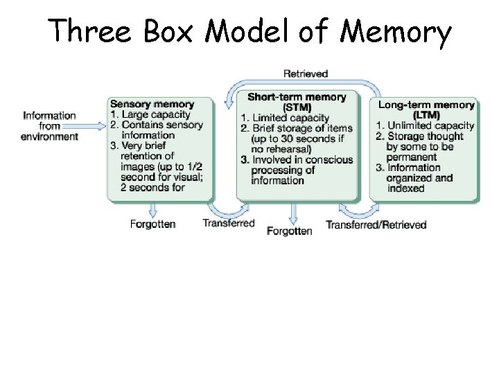 Three Box Model of Memory 