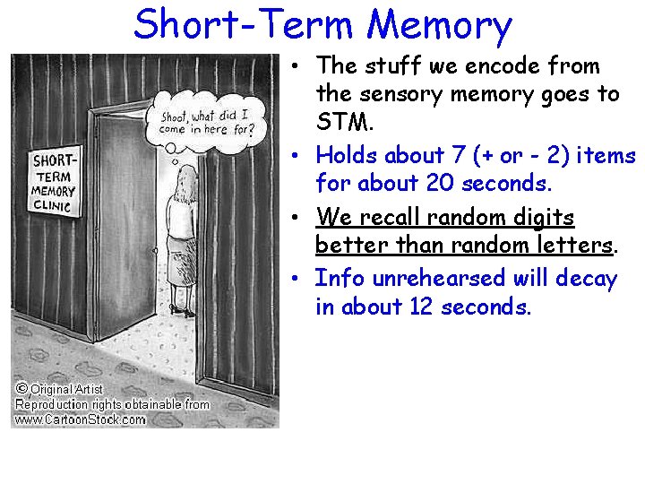 Short-Term Memory • The stuff we encode from the sensory memory goes to STM.