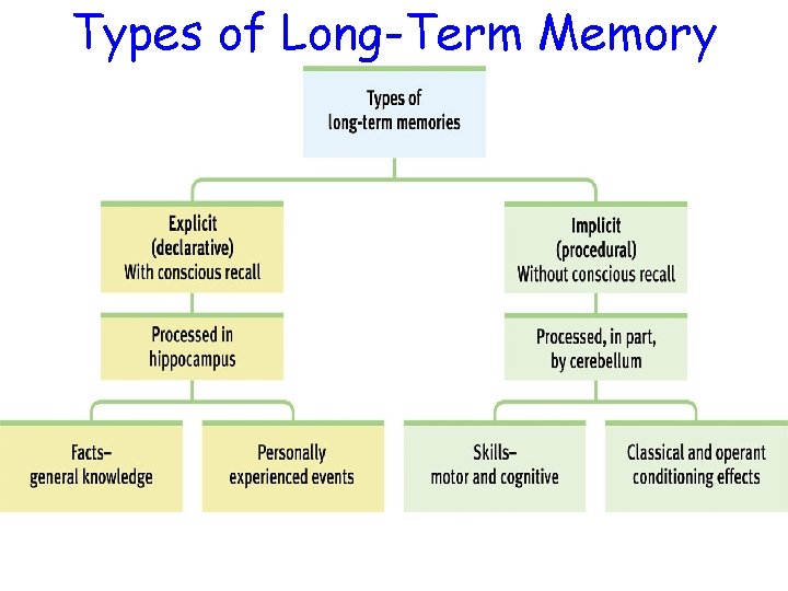 Types of Long-Term Memory 