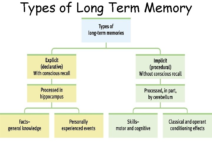 Types of Long Term Memory 