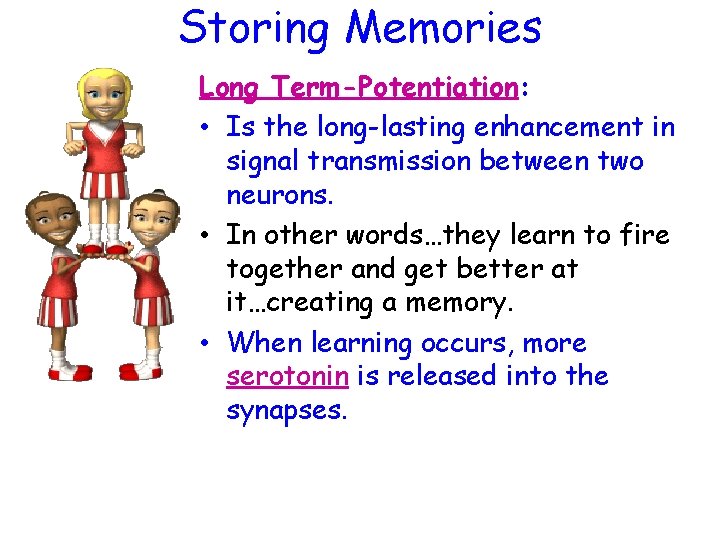 Storing Memories Long Term-Potentiation: • Is the long-lasting enhancement in signal transmission between two