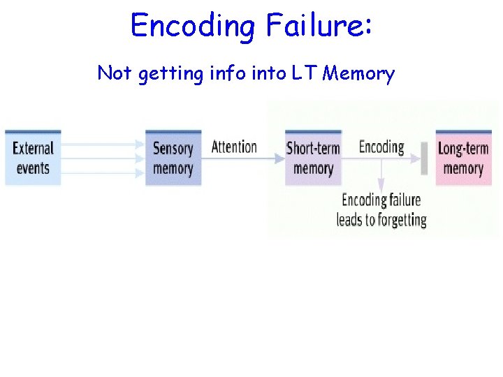 Encoding Failure: Not getting info into LT Memory 