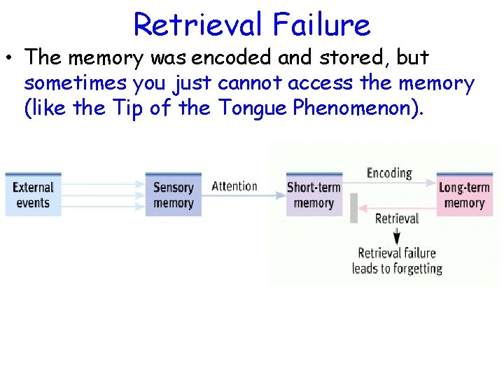 Retrieval Failure • The memory was encoded and stored, but sometimes you just cannot