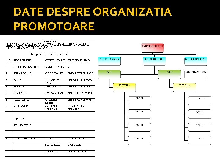 DATE DESPRE ORGANIZATIA PROMOTOARE 