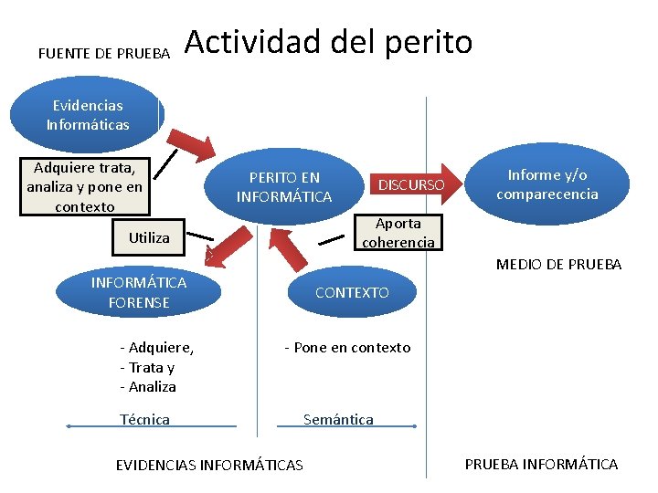 FUENTE DE PRUEBA Actividad del perito Evidencias Informáticas Adquiere trata, analiza y pone en