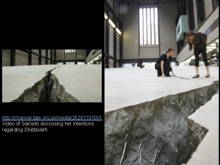 http: //channel. tate. org. uk/media/28291797001 Video of Salcedo discussing her intentions regarding Shibboleth 