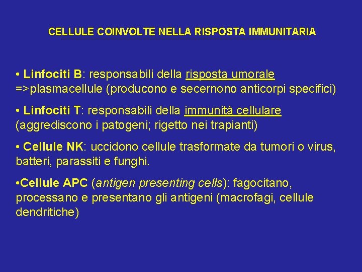 CELLULE COINVOLTE NELLA RISPOSTA IMMUNITARIA • Linfociti B: responsabili della risposta umorale =>plasmacellule (producono
