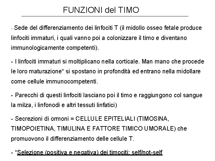 FUNZIONI del TIMO - Sede del differenziamento dei linfociti T (il midollo osseo fetale