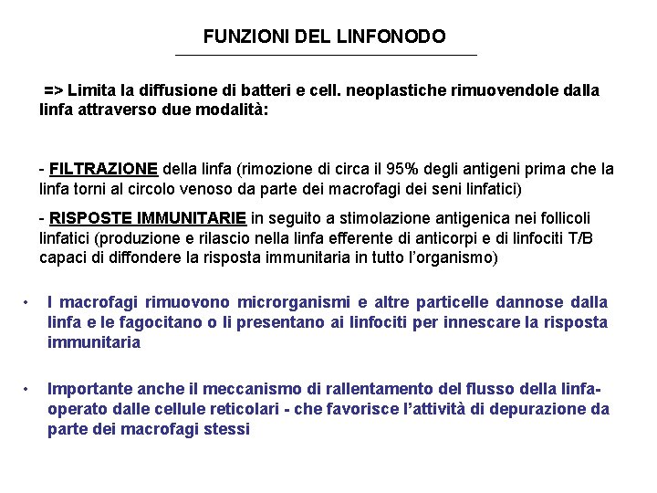 FUNZIONI DEL LINFONODO => Limita la diffusione di batteri e cell. neoplastiche rimuovendole dalla