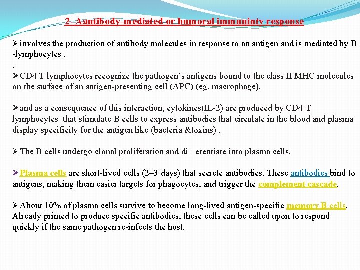 2 - Aantibody-mediated or humoral immuninty response Øinvolves the production of antibody molecules in