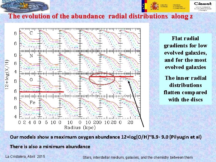 The evolution of the abundance radial distributions along z Flat radial gradients for low