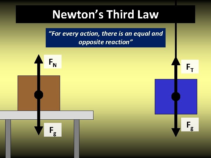 Newton’s Third Law “For every action, there is an equal and opposite reaction” FN