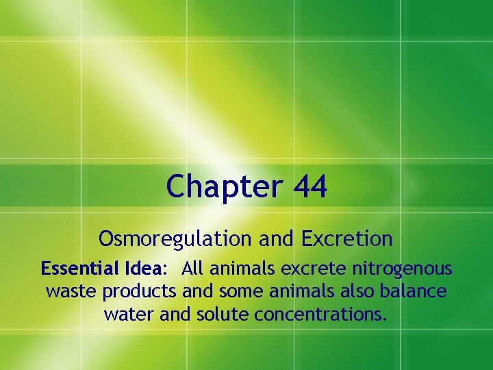 Chapter 44 Osmoregulation and Excretion Essential Idea: All animals excrete nitrogenous waste products and