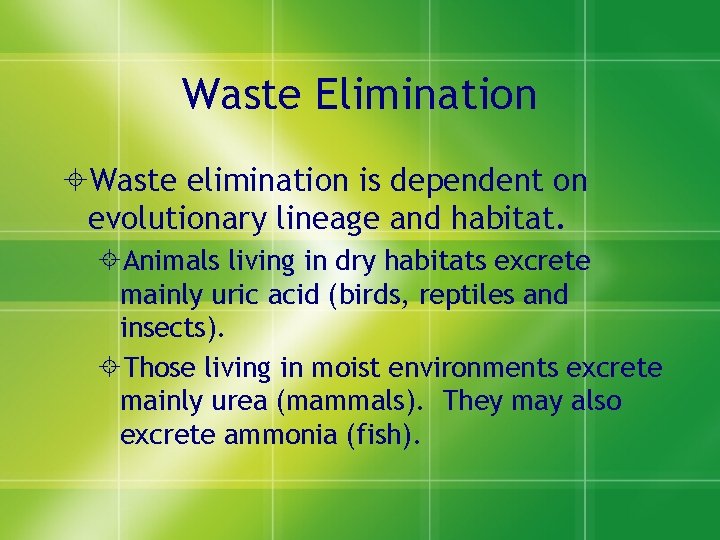 Waste Elimination ±Waste elimination is dependent on evolutionary lineage and habitat. ±Animals living in