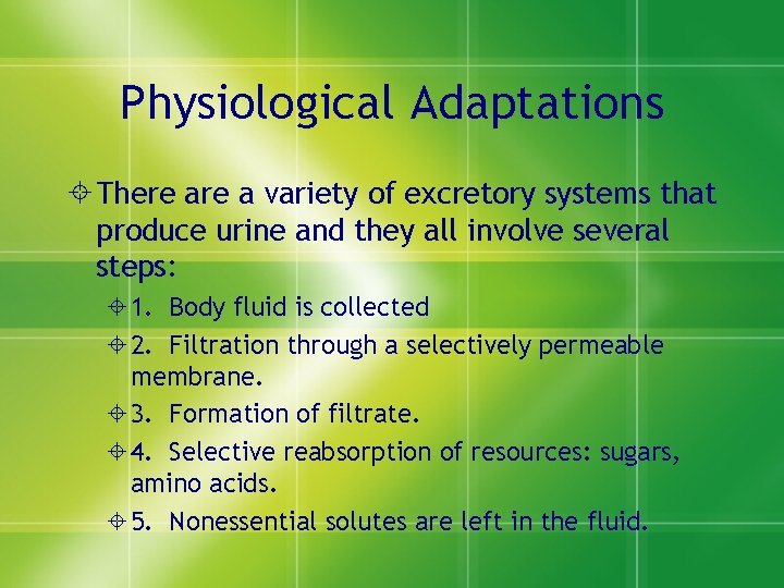 Physiological Adaptations ± There a variety of excretory systems that produce urine and they