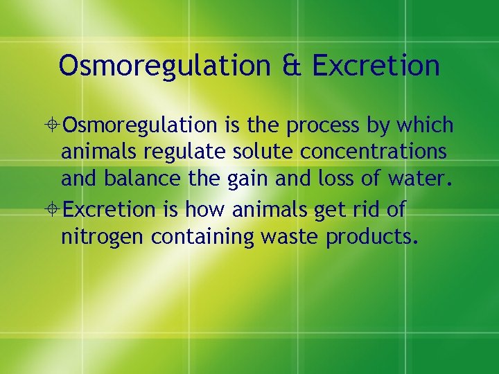 Osmoregulation & Excretion ±Osmoregulation is the process by which animals regulate solute concentrations and