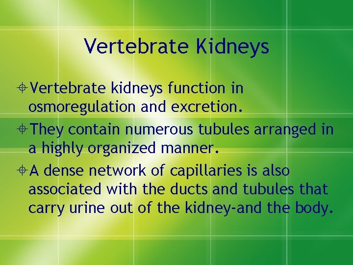Vertebrate Kidneys ±Vertebrate kidneys function in osmoregulation and excretion. ±They contain numerous tubules arranged