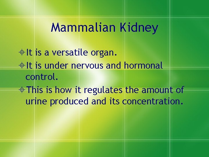 Mammalian Kidney ±It is a versatile organ. ±It is under nervous and hormonal control.