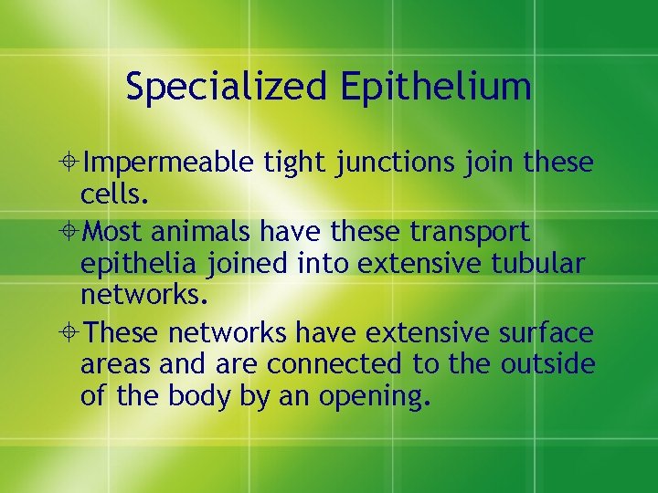 Specialized Epithelium ±Impermeable tight junctions join these cells. ±Most animals have these transport epithelia