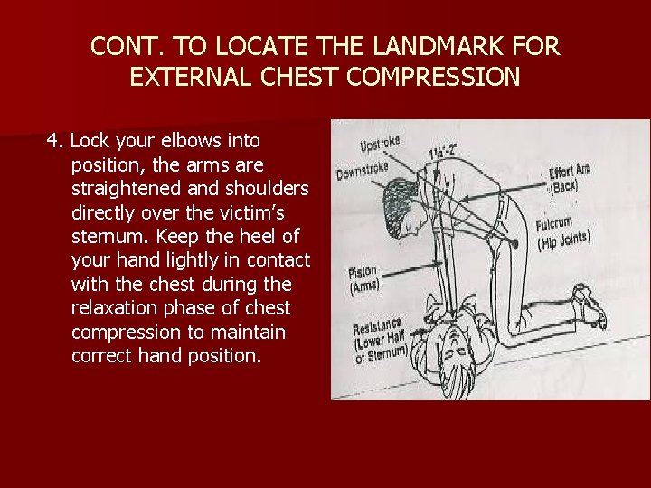 CONT. TO LOCATE THE LANDMARK FOR EXTERNAL CHEST COMPRESSION 4. Lock your elbows into