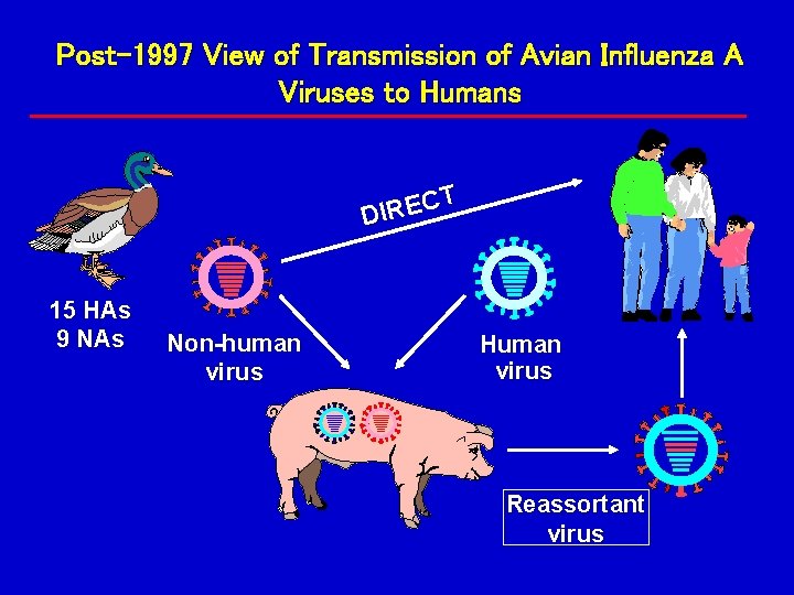 Post-1997 View of Transmission of Avian Influenza A Viruses to Humans T C E Post-1997 View of Transmission of Avian Influenza A Viruses to Humans T C E