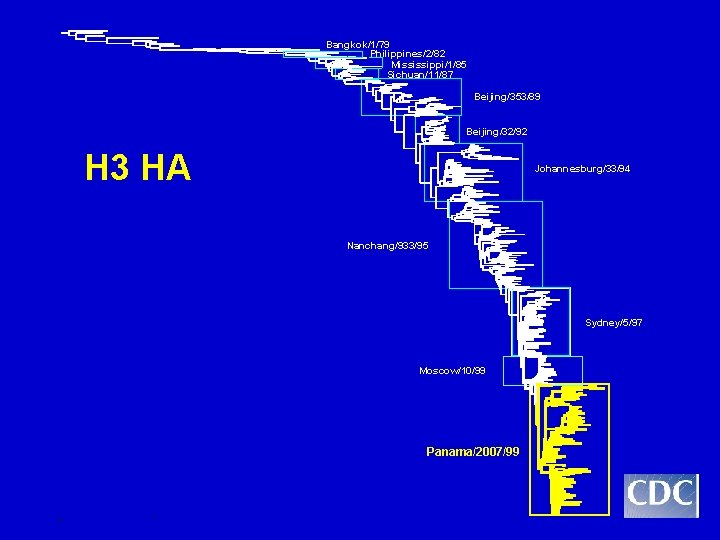 Bangkok/1/79 Philippines/2/82 Mississippi/1/85 Sichuan/11/87 Beijing/353/89 Beijing/32/92 H 3 HA Johannesburg/33/94 Nanchang/933/95 Sydney/5/97 Moscow/10/99 Panama/2007/99 Bangkok/1/79 Philippines/2/82 Mississippi/1/85 Sichuan/11/87 Beijing/353/89 Beijing/32/92 H 3 HA Johannesburg/33/94 Nanchang/933/95 Sydney/5/97 Moscow/10/99 Panama/2007/99