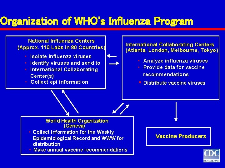 Organization of WHO's Influenza Program National Influenza Centers (Approx. 110 Labs in 80 Countries) Organization of WHO's Influenza Program National Influenza Centers (Approx. 110 Labs in 80 Countries)