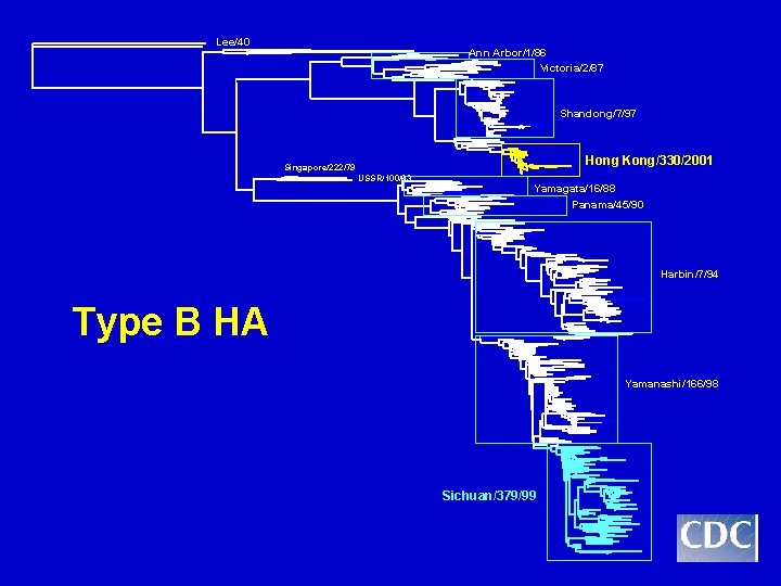 Lee/40 Ann Arbor/1/86 Victoria/2/87 Shandong/7/97 Hong Kong/330/2001 Singapore/222/79 USSR/100/83 Yamagata/16/88 Panama/45/90 Harbin/7/94 Type B Lee/40 Ann Arbor/1/86 Victoria/2/87 Shandong/7/97 Hong Kong/330/2001 Singapore/222/79 USSR/100/83 Yamagata/16/88 Panama/45/90 Harbin/7/94 Type B
