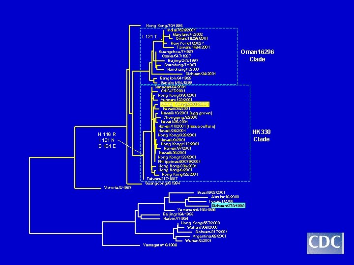 I Hong Kong/70/1996 India/7526/2001 Maryland/1/2002 121 T Oman/16296/2001 New York/1/2002 * Taiwan/1484/2001 Guangzhou/7/1997 Osaka/547/1997 I Hong Kong/70/1996 India/7526/2001 Maryland/1/2002 121 T Oman/16296/2001 New York/1/2002 * Taiwan/1484/2001 Guangzhou/7/1997 Osaka/547/1997