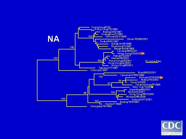 Guangdong/5/19 94 Hong Kong/70/1996 Beijing/243/1997 Guangzhou/7/1997 100 Sichuan/281/1996 NA 100 99 100 Oman/16296/2001 Osaka/547/1997 Guangdong/5/19 94 Hong Kong/70/1996 Beijing/243/1997 Guangzhou/7/1997 100 Sichuan/281/1996 NA 100 99 100 Oman/16296/2001 Osaka/547/1997