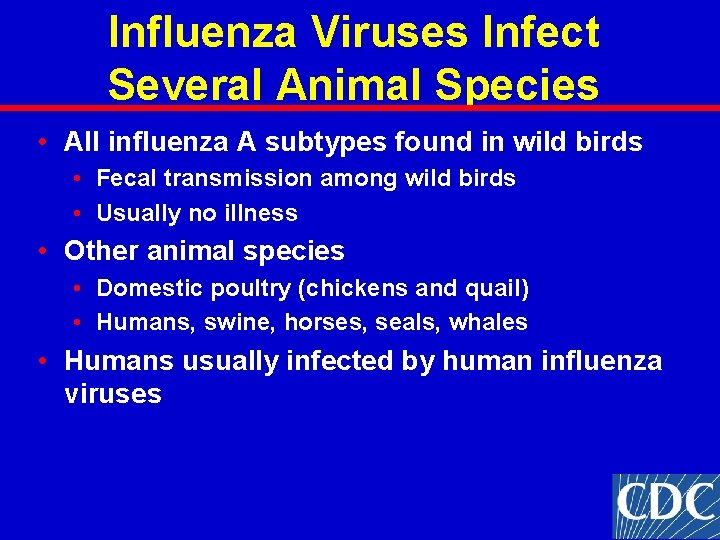 Influenza Viruses Infect Several Animal Species • All influenza A subtypes found in wild Influenza Viruses Infect Several Animal Species • All influenza A subtypes found in wild