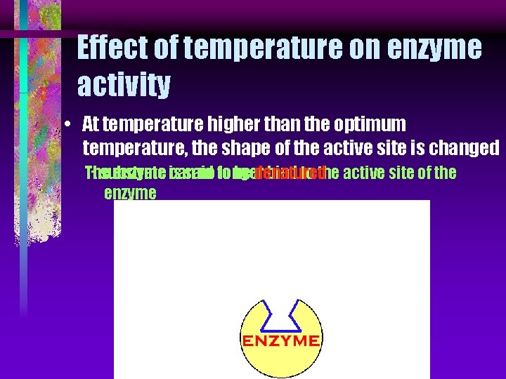 Effect of temperature on enzyme activity • At temperature higher than the optimum temperature,