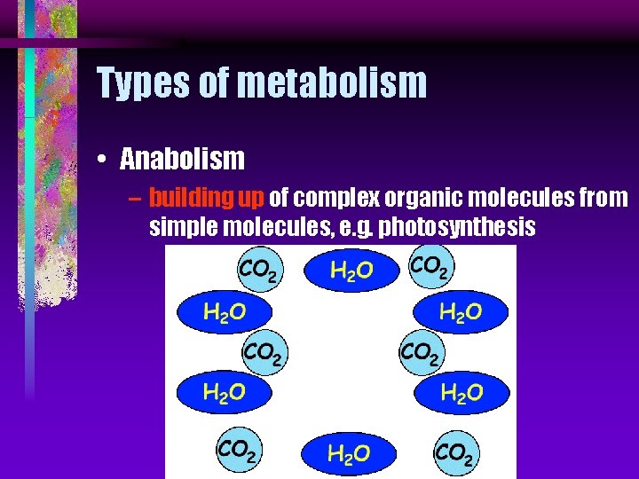 Types of metabolism • Anabolism – building up of complex organic molecules from simple