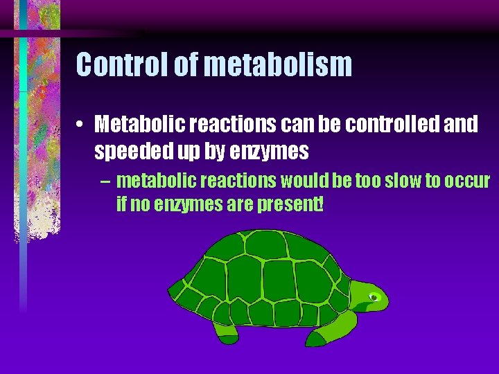 Control of metabolism • Metabolic reactions can be controlled and speeded up by enzymes