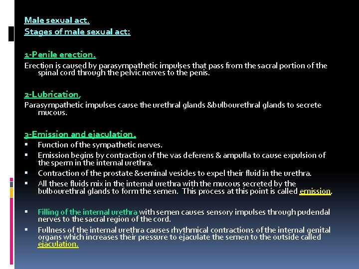 Male sexual act. Stages of male sexual act: 1 -Penile erection. Erection is caused