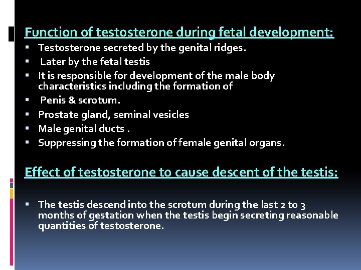 Function of testosterone during fetal development: Testosterone secreted by the genital ridges. Later by